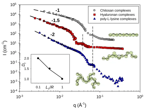 Fig.  4a.  (Color  on-line)  SANS  profiles  collected  at  high  ionic  strength,  I,  and  20°C  of  the  three  PEL  complexes:  0.01g/l  chitosan/10g/l  SiNP,  0.01g/l  HA/2g/l  SiNP,  and  0.01g/l  PLL/10g/l SiNP (monophasic and representative of doma