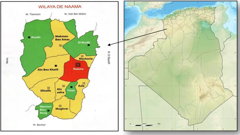 Figure n°01 : La situation géographique de la zone d’étude (Ain Sefra). 