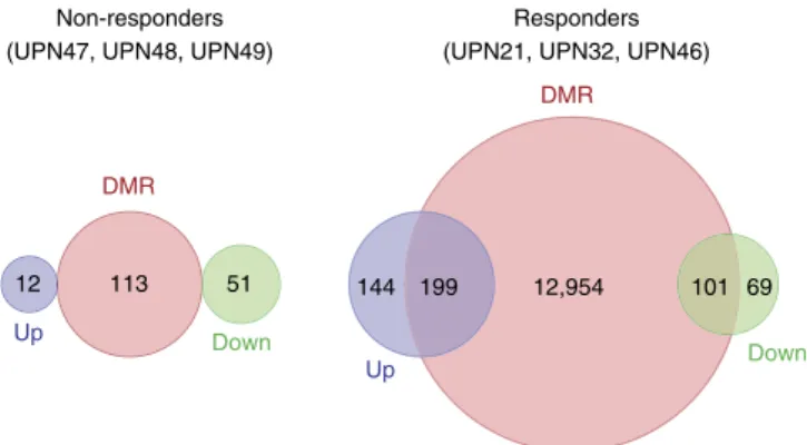 Figure 8 | Relationship between changes in DNA methylation and in gene expression. Venn diagrams of interactions between differentially methylated regions (DMR, red circles) and differentially expressed genes (upregulated in blue; downregulated in green) a