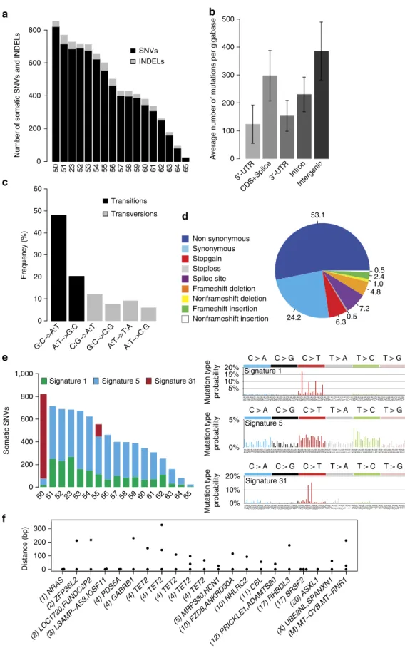 Figure 2 | Somatic variants in coding and non-coding regions identiﬁed by whole-genome sequencing