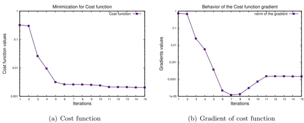 Figure 4.10: Behavior of the cost function and its gradient in the minimization process, corresponding to the real measurement data.