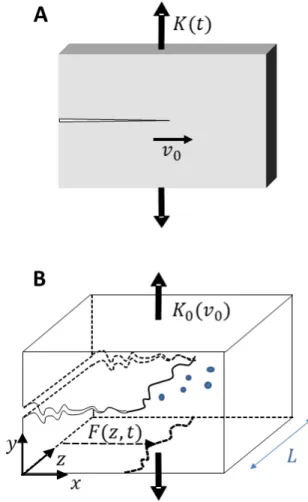 FIG. 1. Sketch of a crack propagating in a material along with notations used herein. (a) LEFM description of a straight crack front propagating at a speed v 0 in a homogeneous  brit-tle solid