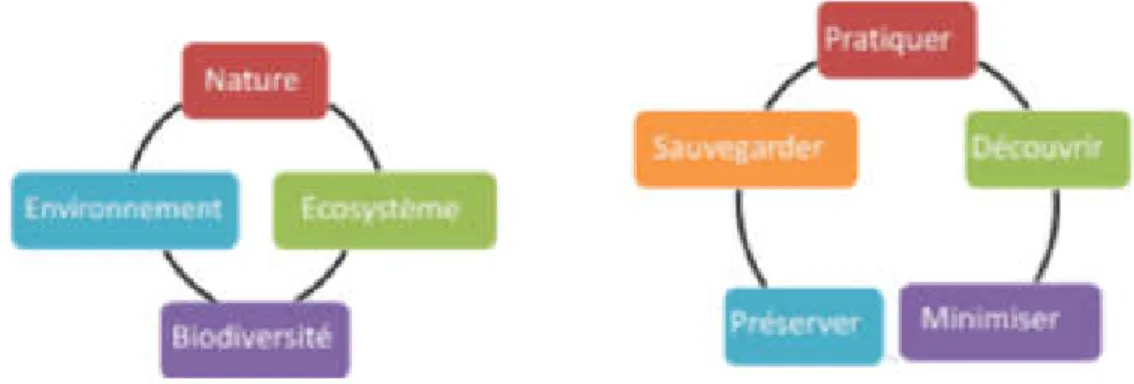 Figure 8 : Schéma d'explication de l'écotourisme 