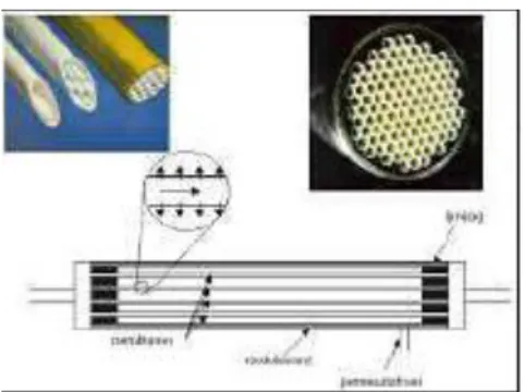 Figure I.6: Module à membrane tubulaire. 