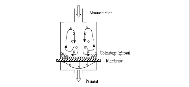 Figure I.8:  Cellule de Filtration Frontale [23]