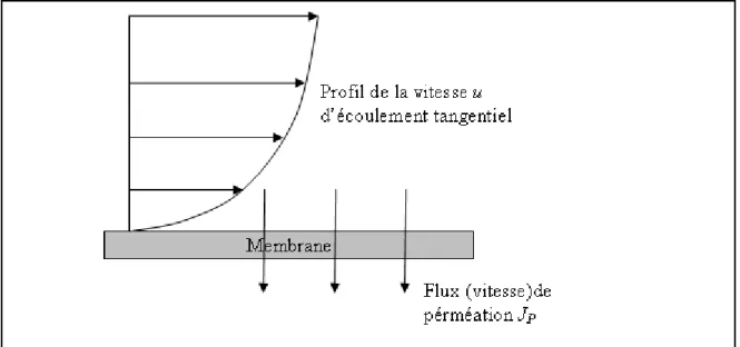 Figure I.9 :  Écoulement tangentiel 