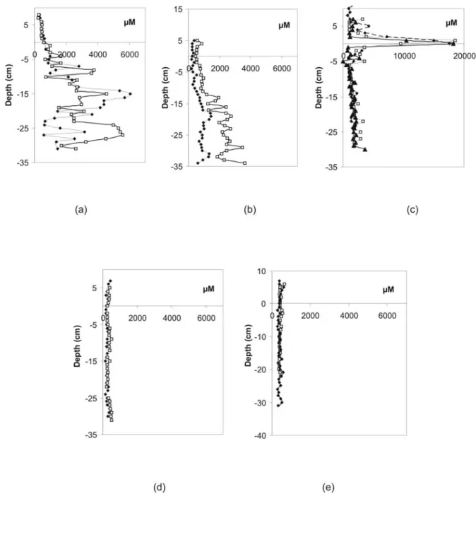 Figure 4 : Porewater profiles of Diossolved Organic Carbon (DOC) versus depth at the C5 sampling station (a) in  winter, (b) in spring, (c) in summer; and at the C4 sampling station (d) in winter, (e) in spring