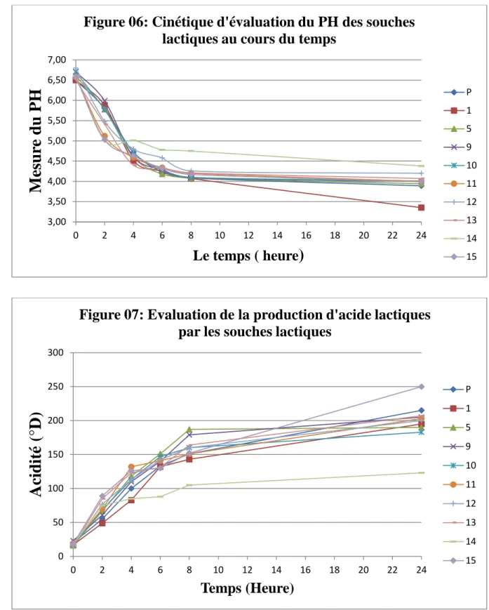 Figure 06: Cinétique d'évaluation du PH des souches  lactiques au cours du temps