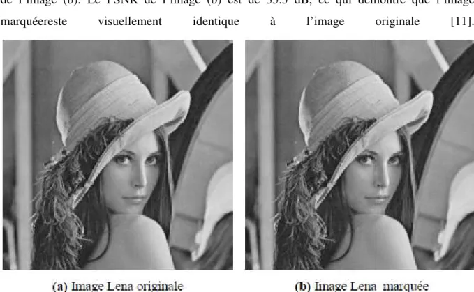 Figure 3 : L’image de Lena en 256 niveaux de gris. Le 