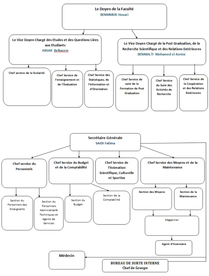 Figure I.1: Organigramme de la Faculté des Sciences (le Doyen.  Secrétaire générale)