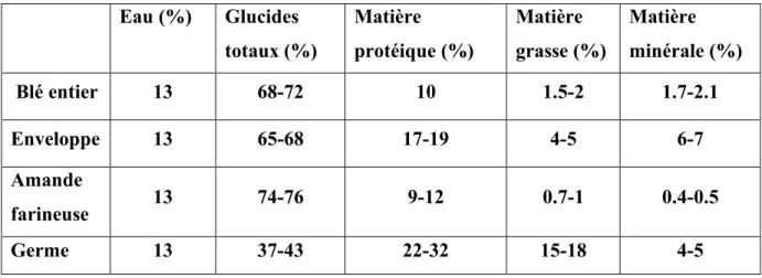 Tableau 01 : Composition chimique d’un grain de blé (Feillet, 2000). 
