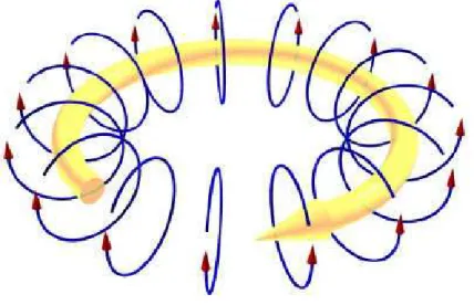 Fig. 2.4 – Le champ magn´etique polo¨ıdal est induit par un courant circulant dans le plasma.