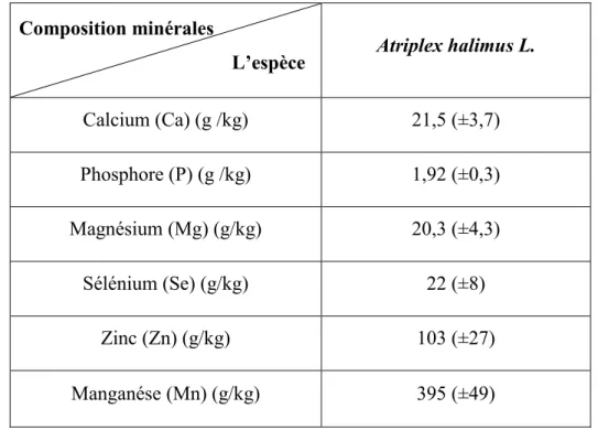 Tableau n°01 : Composition minérale d’un l’Atriplex halimus.L selon( Niekerk et al ., 2004) 