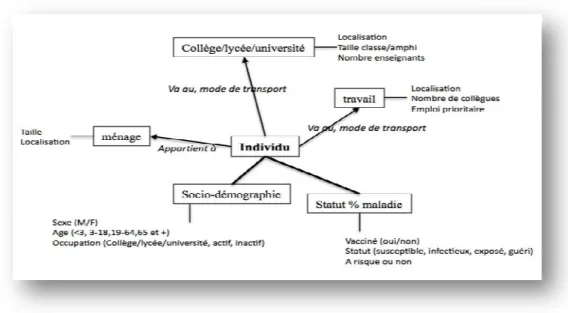 Figure 14 : Caractéristiques d’un agent