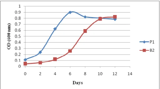 Fig. 1: Growth curve of the isolates P1 and B2 in BH broth medium supplemented with 2% diesel
