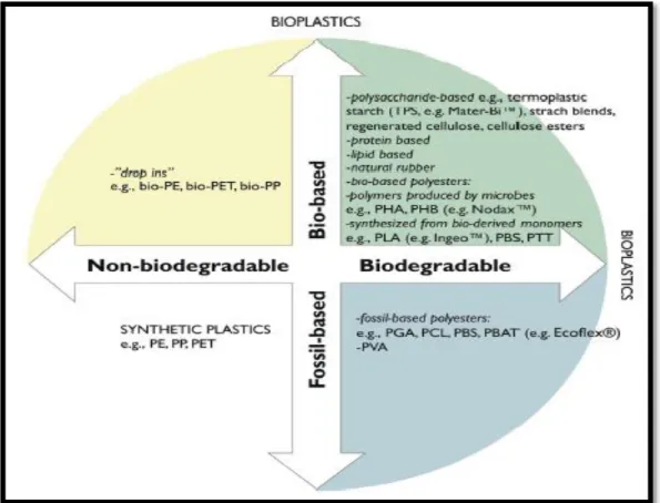Figure 6: Classification of biodegradable and non-biodegradable plastics depending on their  base (Batori et al 2018)