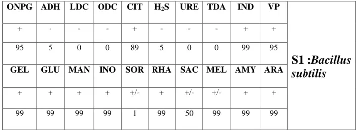 Table 3: Bacillus API identification by M.cavalla  B.subtilis 