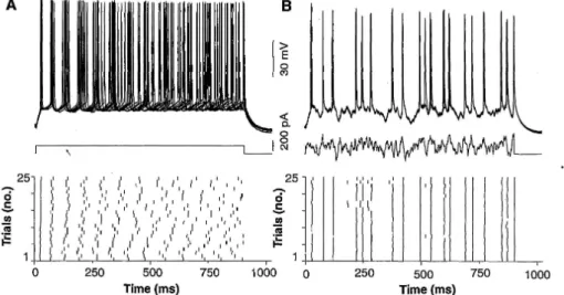 Figure 1.3: Reliability of spike trains when a Gaussian white noise is added to the constant stimulus