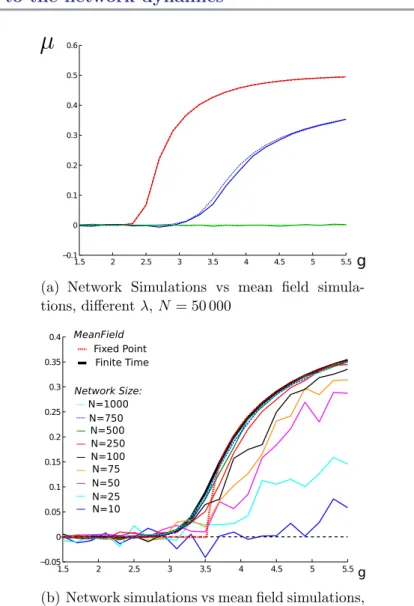 Figure 4.4: Comparison of the pitchfork bifurcations with respect to the slope parameter g for the network and the mean field equations, T = 40, dt = 0.001, number of sample paths: 100, initial condition V 0 = 0.5 (hence we only see the positive part of th