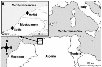 Figure 1.  Detailed map of the two sampling sites (A) (black crosses).