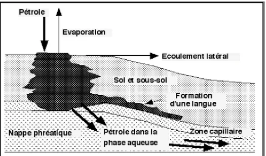 Figure 5 : Représentation schématique du devenir d'une pollution pétrolière à la surface du  sol
