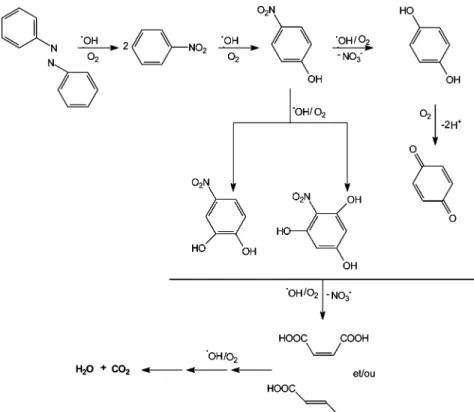 Figure 9. Proposed reaction pathway for the mineralization of azobenzene by electron-Fenton process.