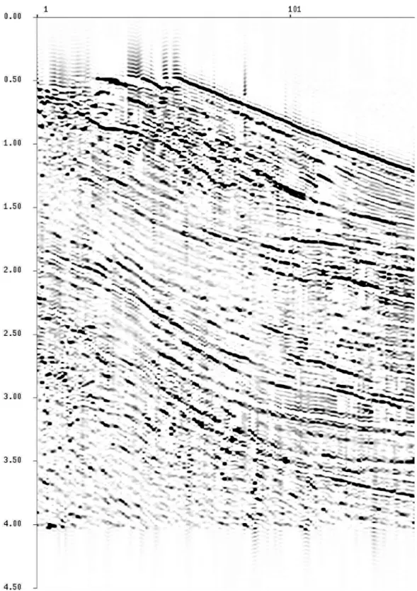 Fig. 24. Deconvolved seismic profile. Y-label: shot number. X-label: time (s).