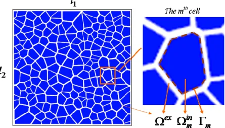 Fig. 1: A two-compartment model with the extracellular   ex (white region), the intracellular 