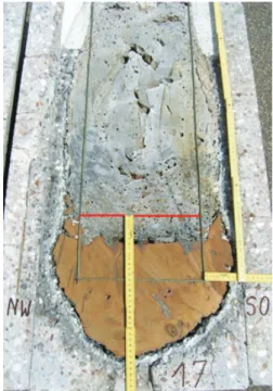 Figure 3. KROTOS facility.  Figure 4. DEFOR facility.  Figure 5. Cross-section of the  MOCKA crucible