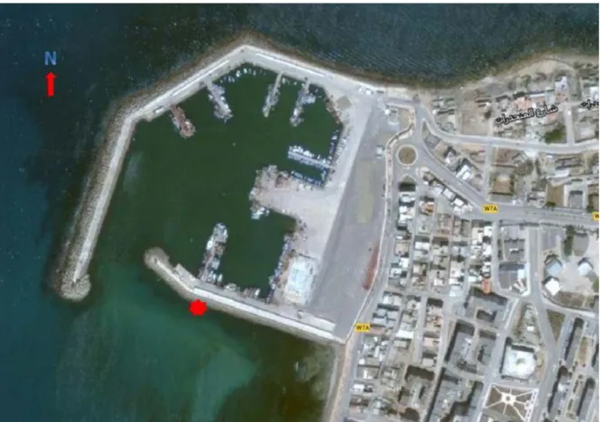 Figure 12 : Localisation de la zone d’échantillonnage (étoile rouge) au niveau du site de   Salamandre (extérieur du port) 