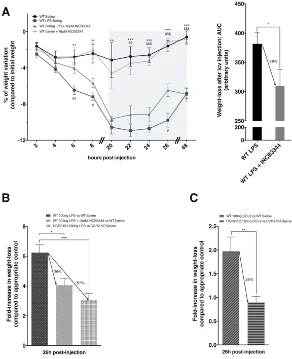 Figure 4. LPS and CCL2 decrease body weight through a CCR2-dependent mechanism.  