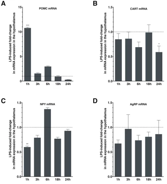 Figure EV1. Study of gene expression of the ARC peptides in LPS icv injected mice.  