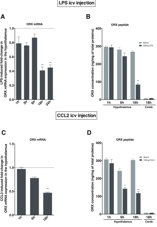 Figure  EV2. Study  of  gene  and  protein  expression  of  the  hypothalamic  peptide  ORX  in  LPS  (A,  B)  CCL2  (C,  D)  icv  injected mice.  