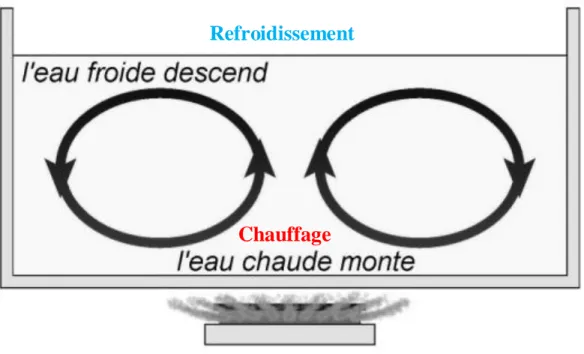 Figure  2:Schémas représentatif de la convection 