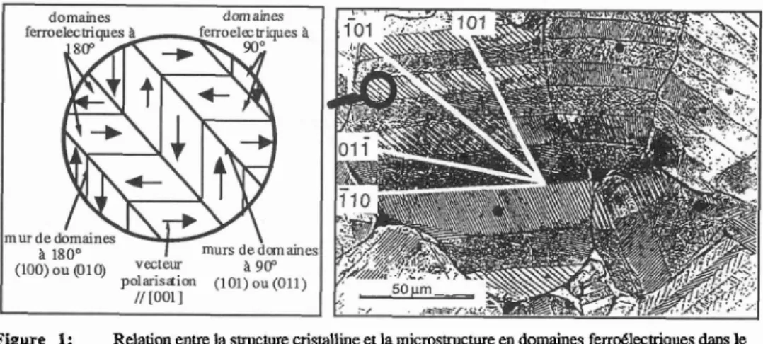 Figure  1:  Relation entre la structure cristalline et la microstructure en domaines ferroélectriques dans le  cas  de BaTie quadratique: 