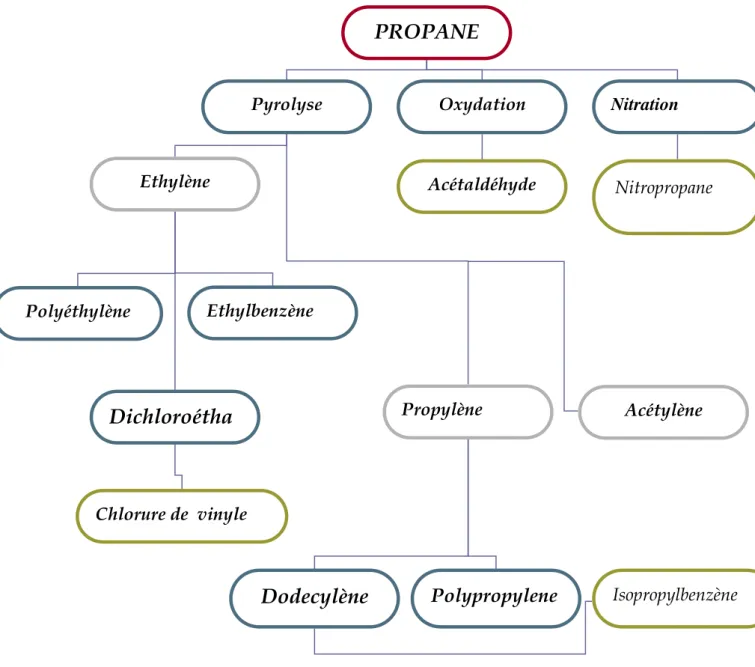 Figure III.1 : principale transformations du propane 