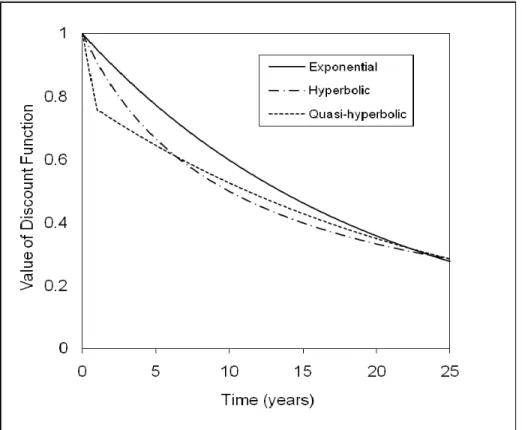 Figure 2. Exponential, Hyperbolic, and Quasi-Hyperbolic Discounting Functions (based on Berns et al