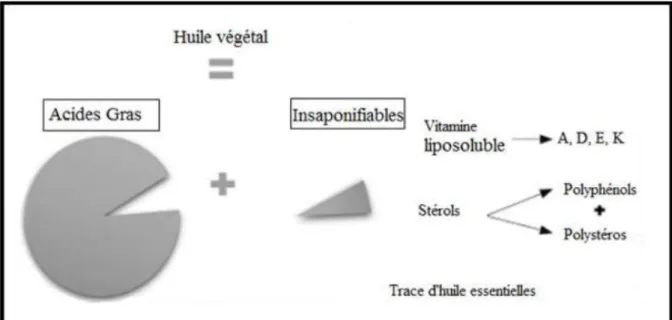 Figure 5: Composition d’une huile végétale [51]. 
