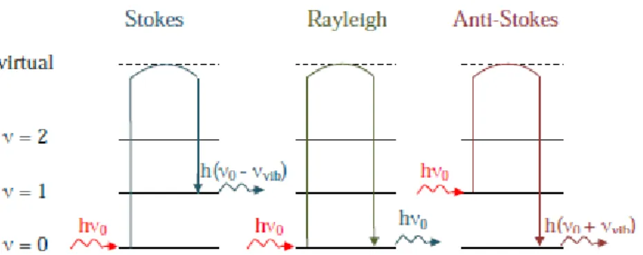 Figure I.11: Mécanismes de diffusion Raman et Rayleigh. 
