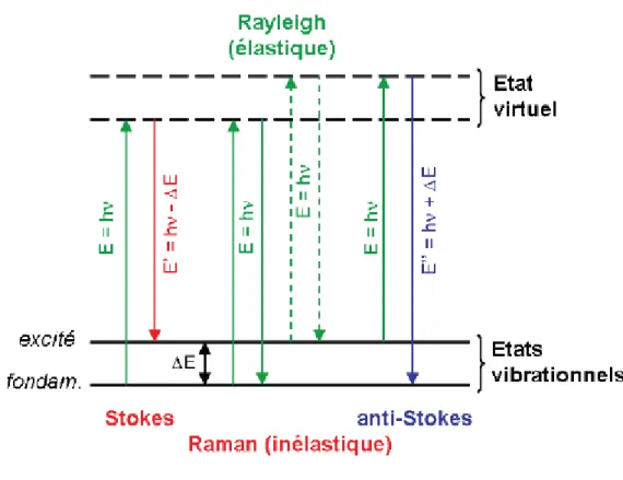 Figure 9 :Diagramme d’énergie montrant l’origine des raies stokes et anti-stokes du Spectre Raman  (E = hν incident ;  ΔE = hν diffusée )