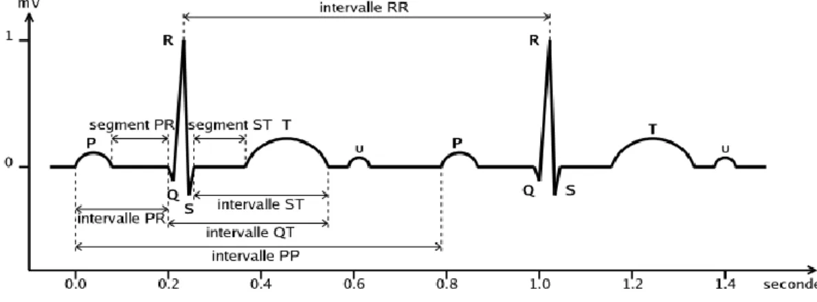 Figure 1.6 : Un échantillon d’un signal ECG normal d’un sujet sain. Les segments, les  intervalles et les différentes ondes sont indiqués [12]