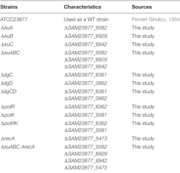 TABLE 1 | Streptomyces ambofaciens strains used in this study.