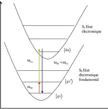 Fig. 3.2 –Modèle adiabatique de surface d’énergie potentielle de l’état électronique fonda- fonda-mental S 0 et excité S 1 d’un système moléculaire pour l’étude de la génération de fréquence somme