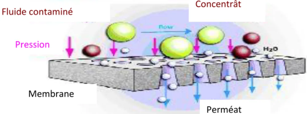 Figure III.2.A : Principe de l’ultrafiltration Concentrât Fluide contaminé 