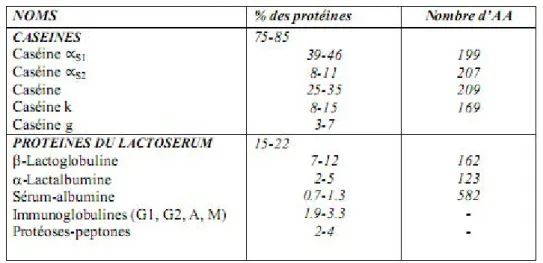 Tableau 2: Classification des protéines  (BRUNNER, 1981 cité par POUGHEON, 2001). 