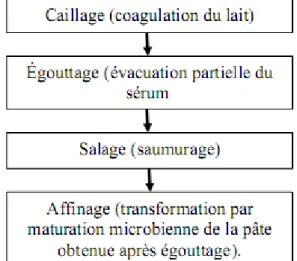 Figure  5  :  Étapes essentielles de transformation du lait en fromage (Parente et Cogan,  2004)