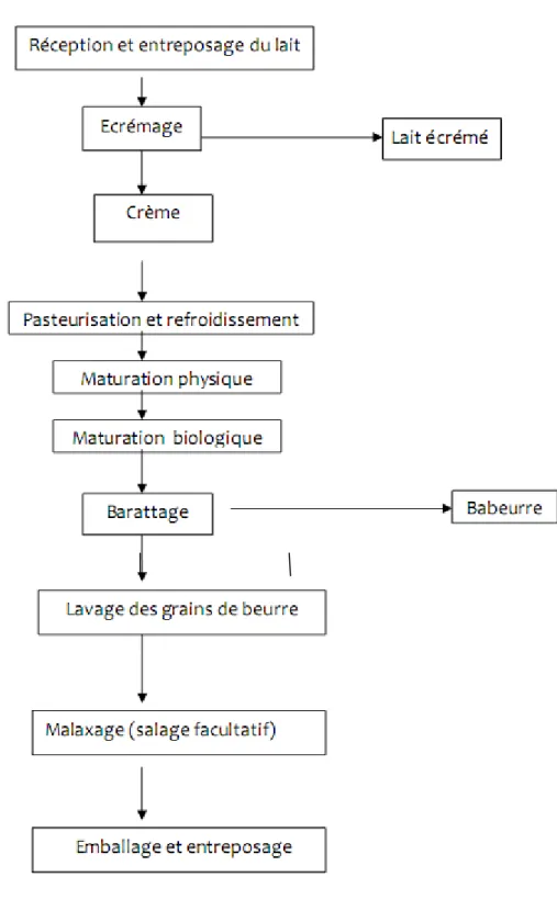 Figure 06 : Etapes de fabrication du beurre (Angers, 2002). 