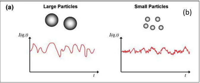 Fig. 1. Schéma d'illustration de l'intensité diffusée pour deux types de particules lors de la diffusion  dynamique de la lumière [selon Lim et al