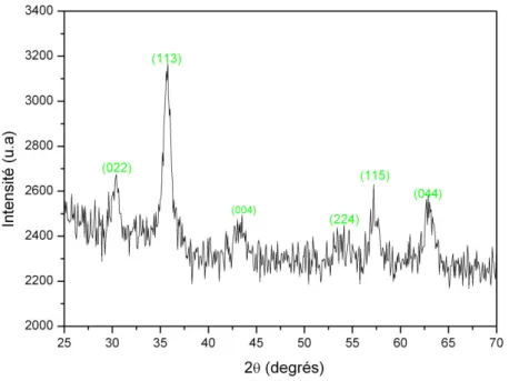 Fig. 6. Diagramme de diffraction des rayons X (DRX) du ferrofluide.