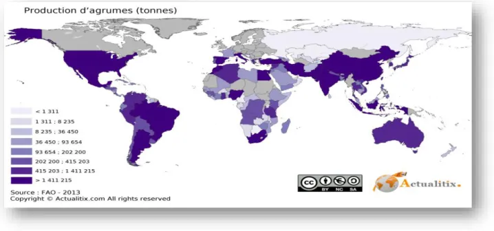 Figure 03: répartition géographique de la production mondiale d’agrumes (FAO 2013) 